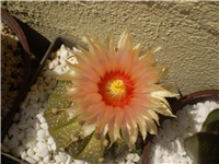 c9d31ae1-Picture 6280.jpg
